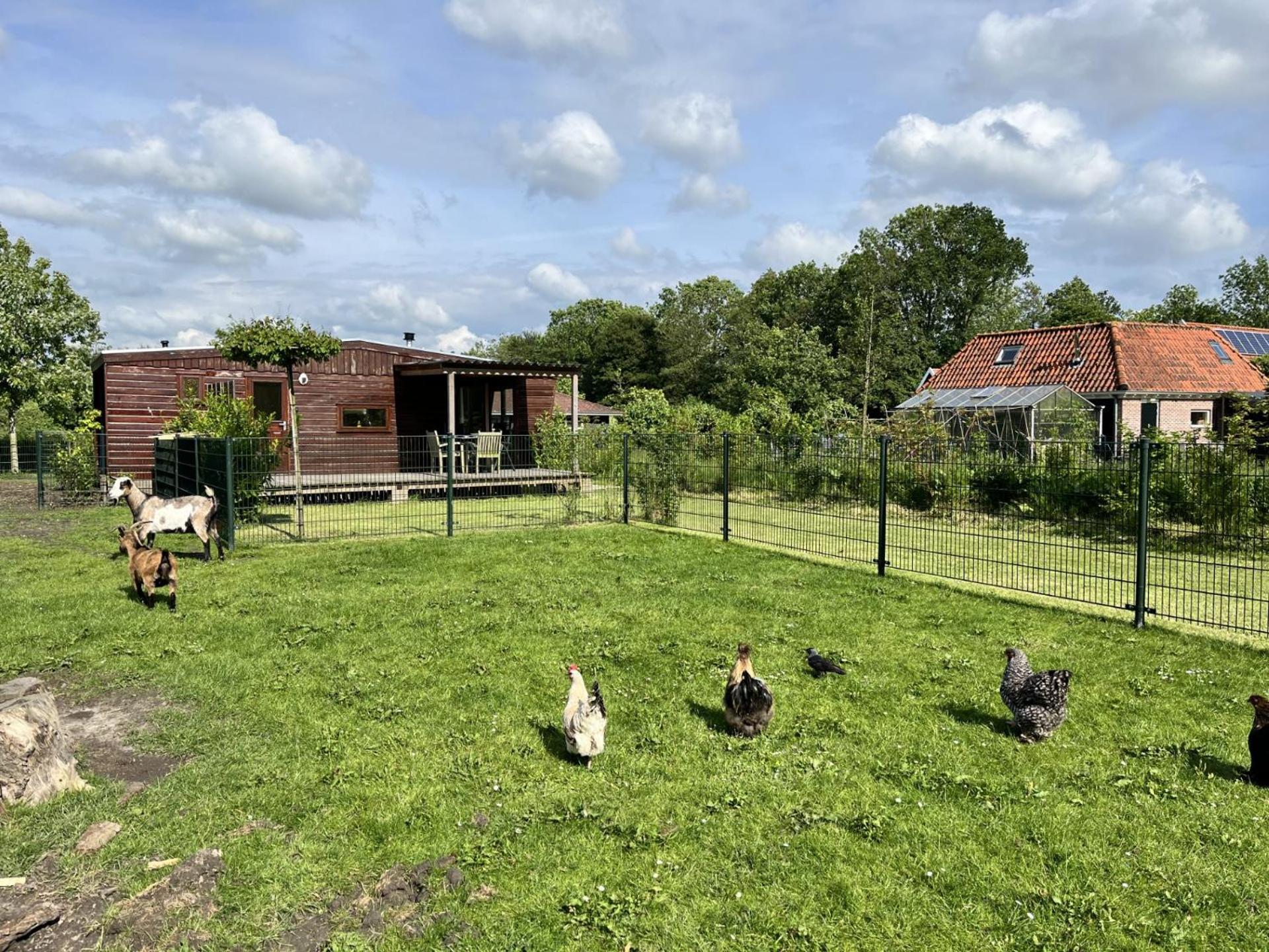 Vrijstaand Chalet Met Veel Buitenruimte En Veranda Zuid-Scharwoude Exteriér fotografie